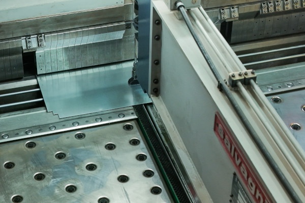 Salvagnini case study Dimitroulakos Salvagnini case study Dimitroulakos